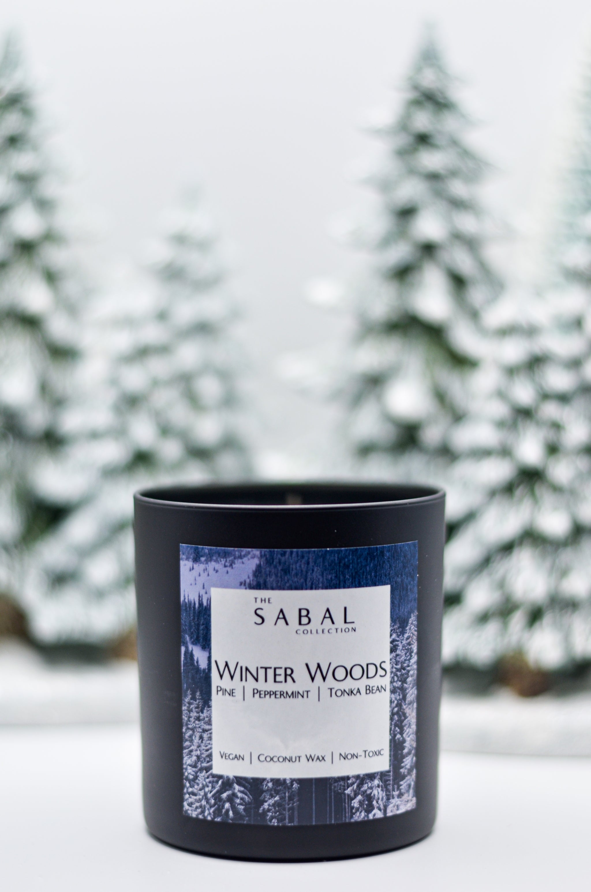 Winter Woods – The Sabal Collection